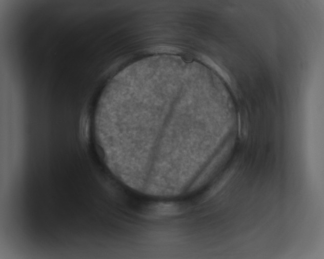 X0000100500157200807111150