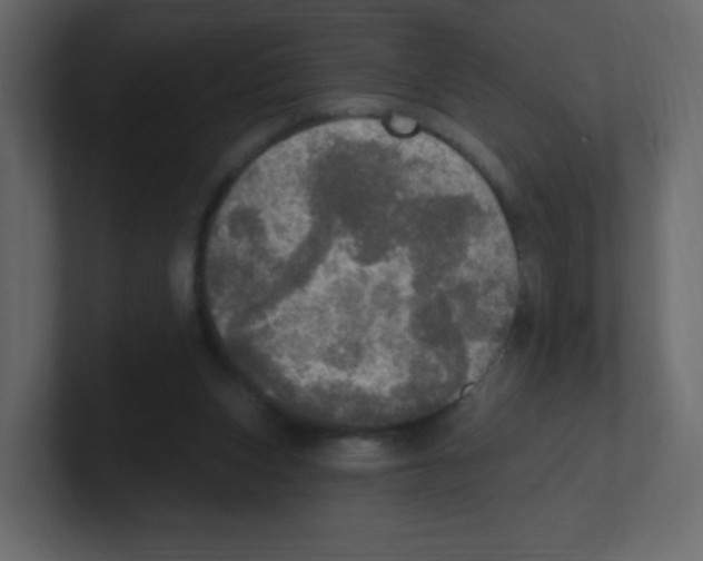 X0000100500159200807111150