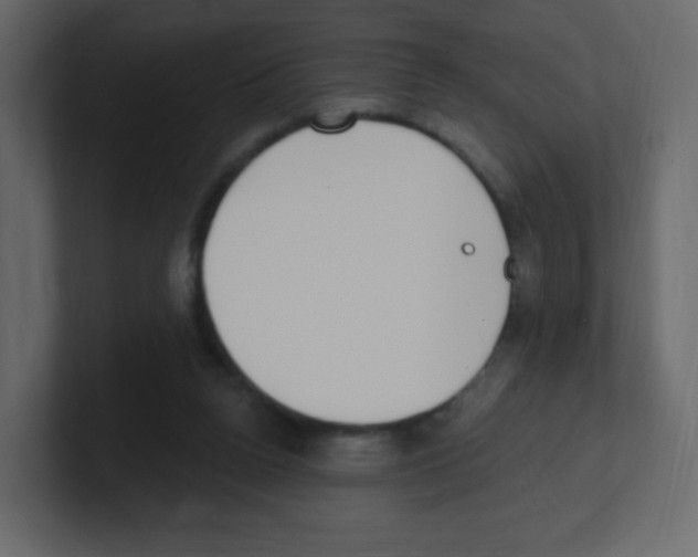 X0000100500160200807111150