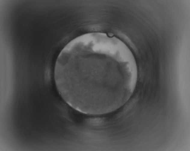 X0000100500161200807111150