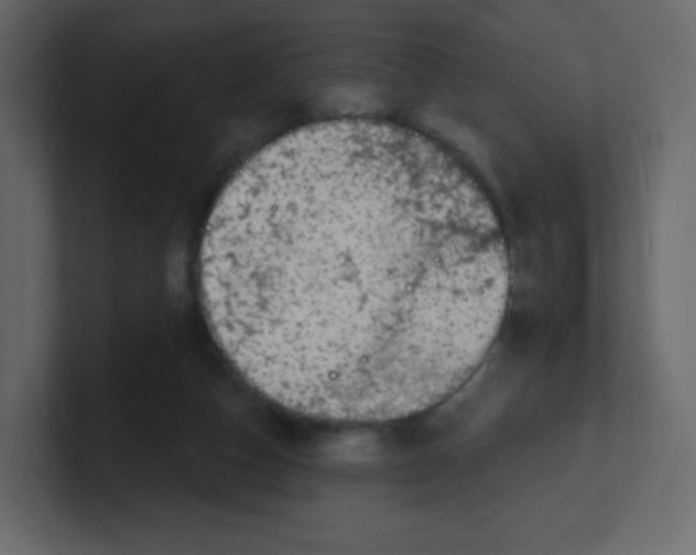 X0000100500162200807111150