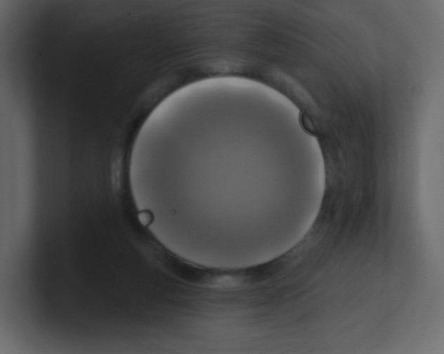 X0000100500163200807111150