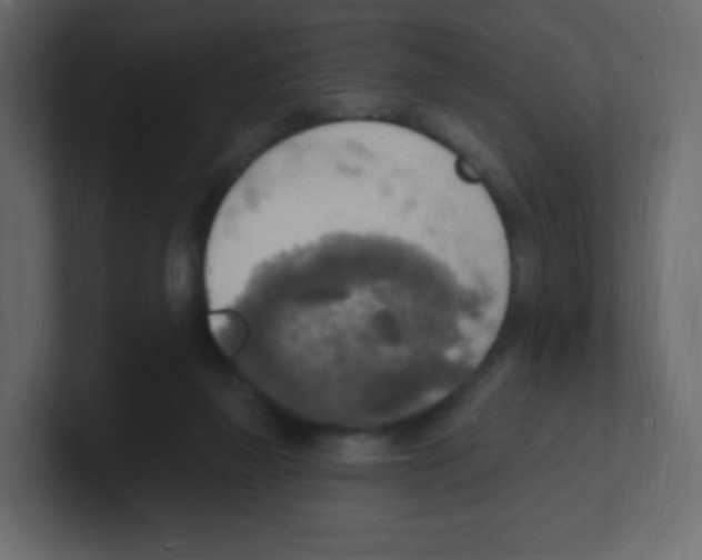 X0000100500165200807111150