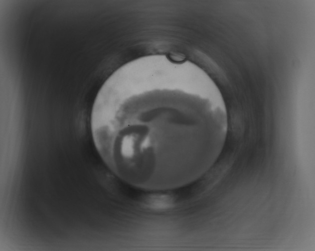 X0000100500169200807111150