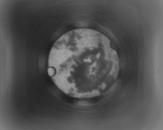 X0000100500171200807111150