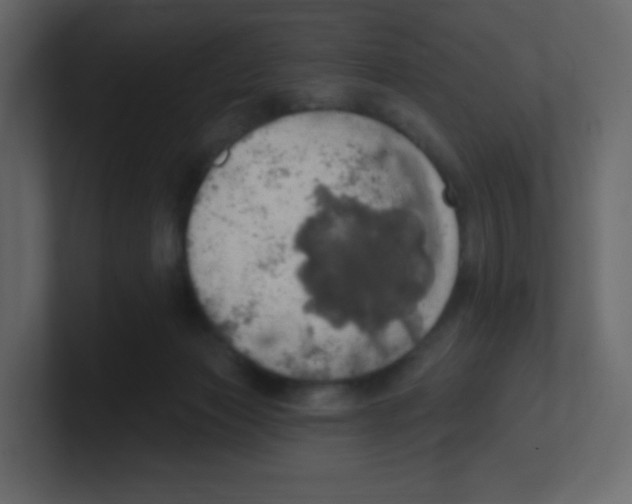 X0000100500173200807111150