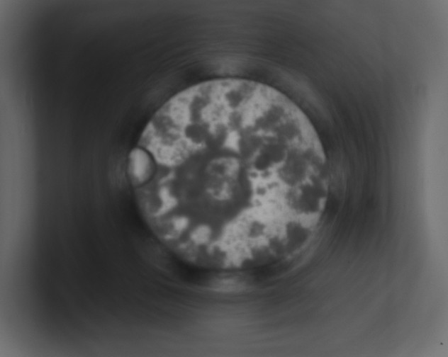 X0000100500175200807111150