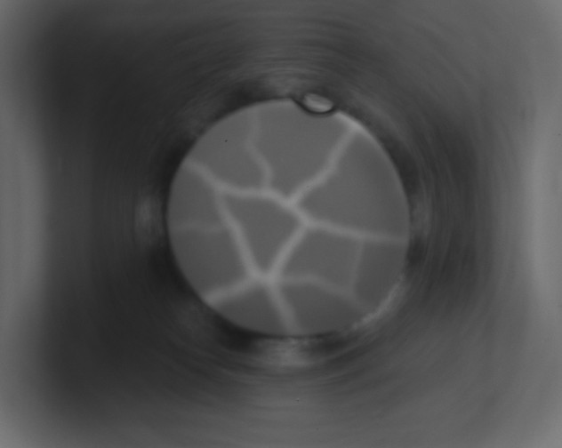 X0000100500182200807111150