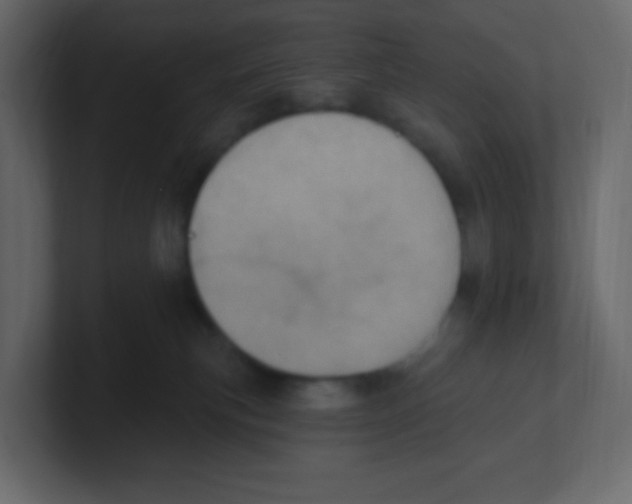 X0000100500183200807111150