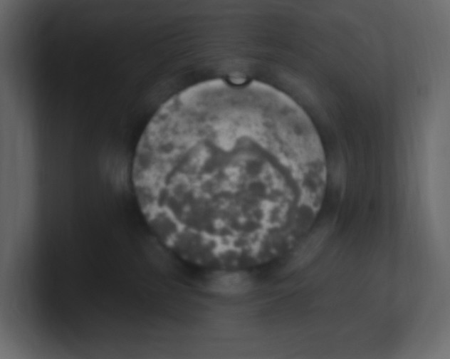 X0000100500185200807111150