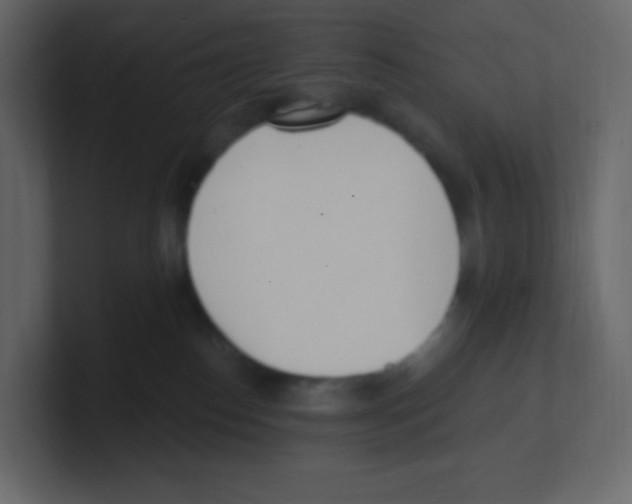 X0000100500186200807111150