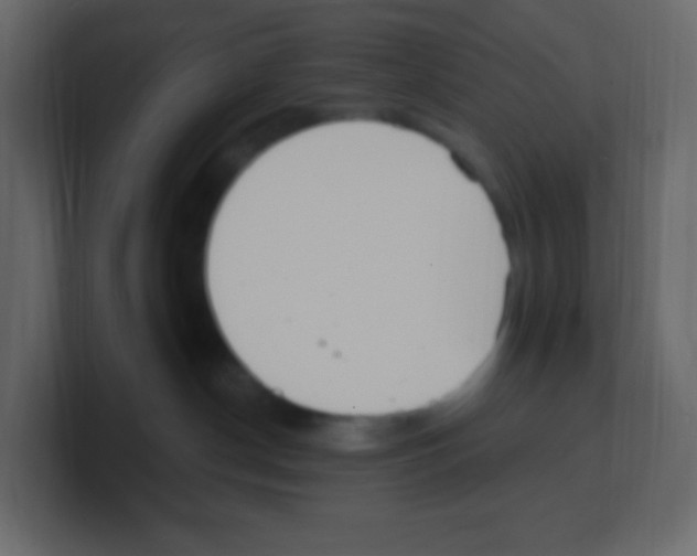 X0000100500190200807111150