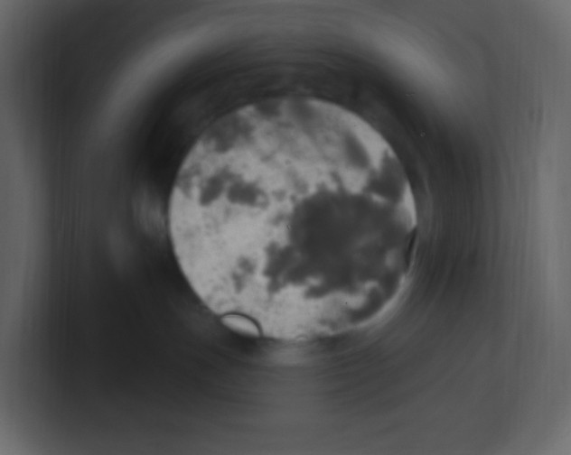 X0000100500191200807111150