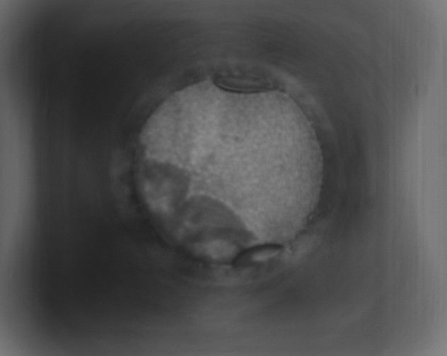 X0000100500192200807111150