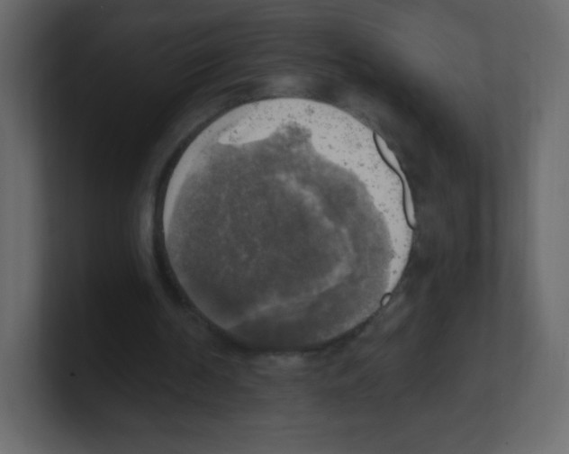 X0000100500194200807111150