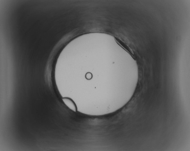 X0000100500197200807111150