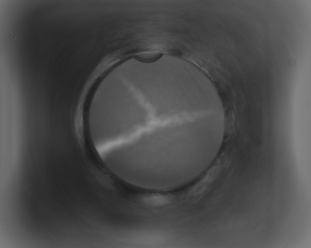 X0000100500198200807111150