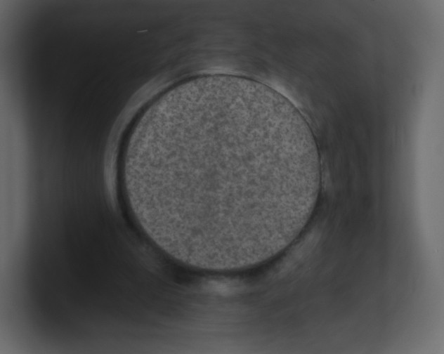 X0000100500199200807111150