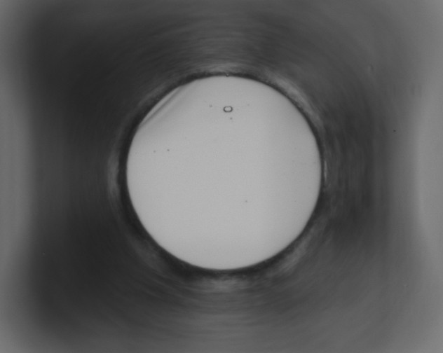 X0000100500201200807111150