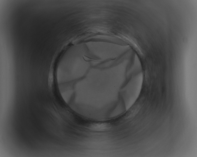 X0000100500202200807111150