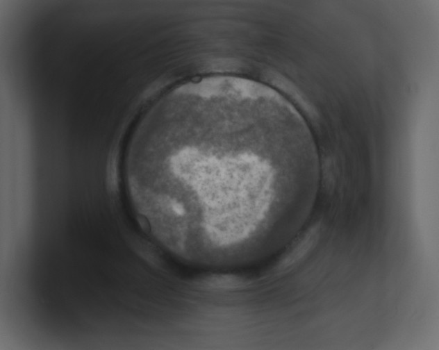 X0000100500203200807111150