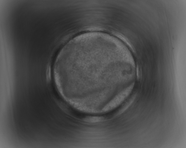 X0000100500205200807111150