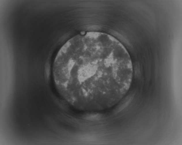 X0000100500206200807111150