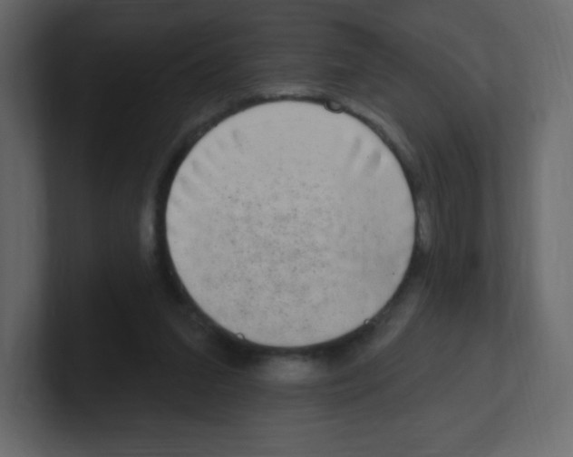 X0000100500207200807111150