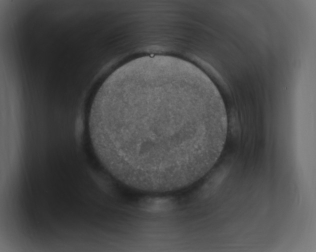 X0000100500208200807111150