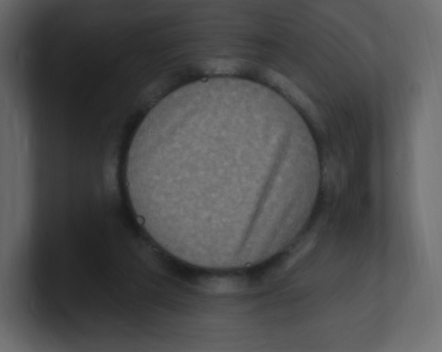 X0000100500209200807111150