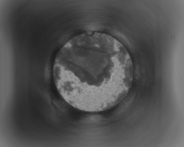 X0000100500210200807111150