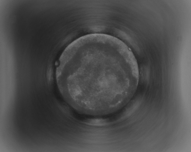 X0000100500212200807111150