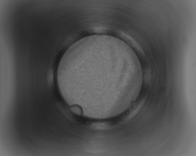 X0000100500213200807111150