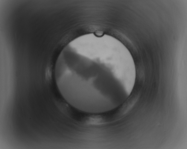 X0000100500214200807111150