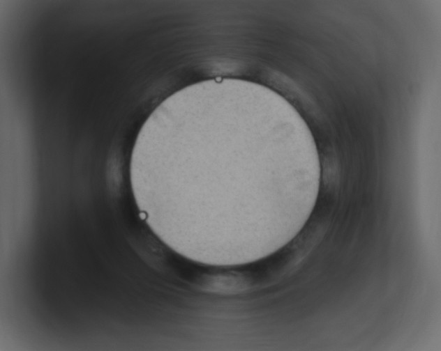 X0000100500215200807111150