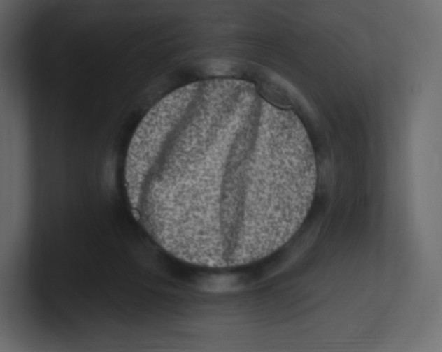 X0000100500217200807111149