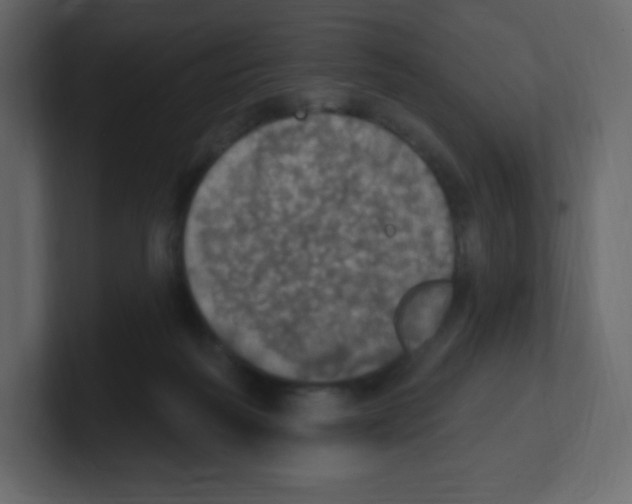 X0000100500218200807111149