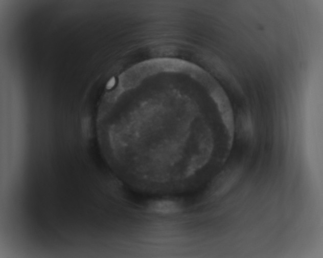 X0000100500224200807111149