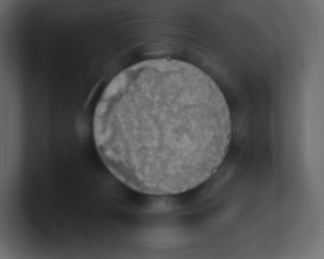 X0000100500226200807111149