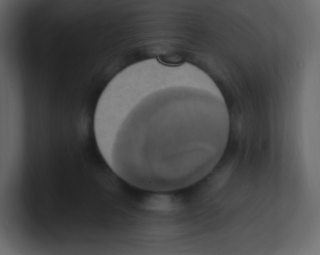 X0000100500227200807111149