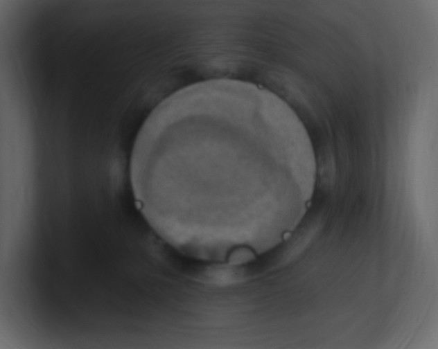 X0000100500231200807111149