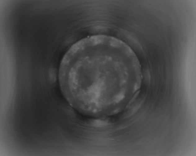 X0000100500232200807111149