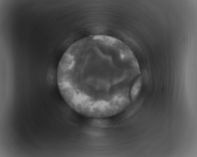 X0000100500234200807111149