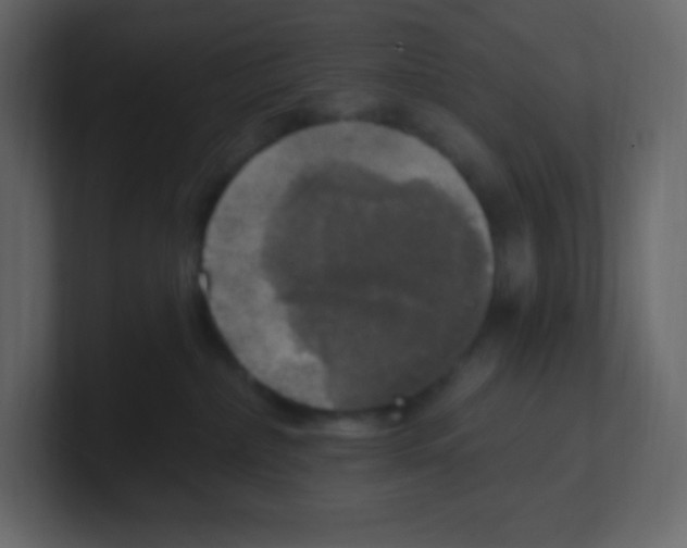 X0000100500236200807111149