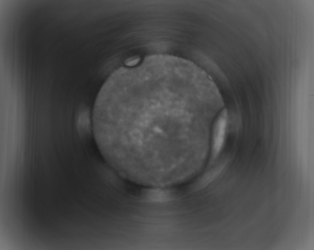 X0000100500238200807111149