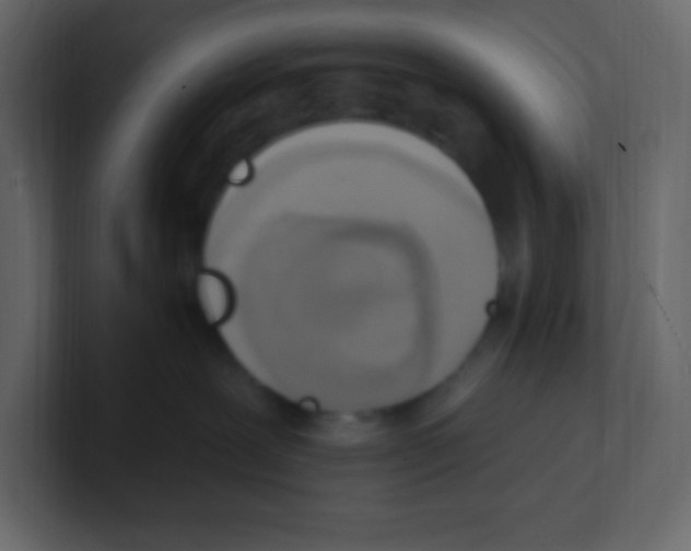 X0000100500239200807111149