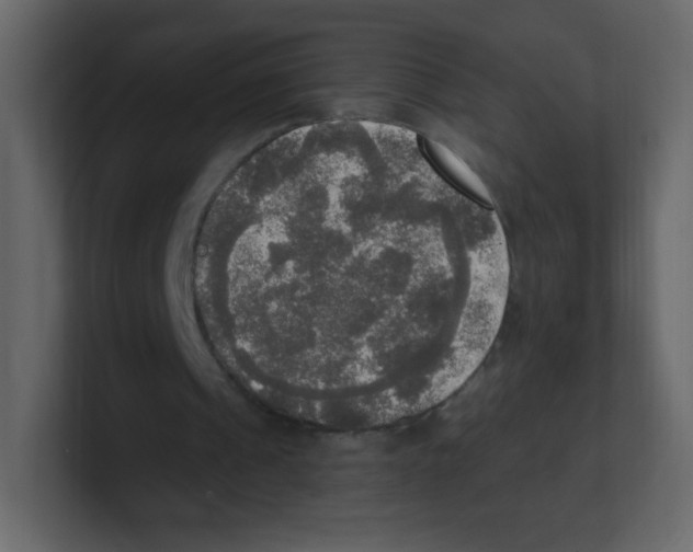 X0000100500241200807111149