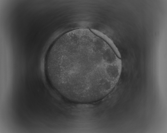 X0000100500242200807111149