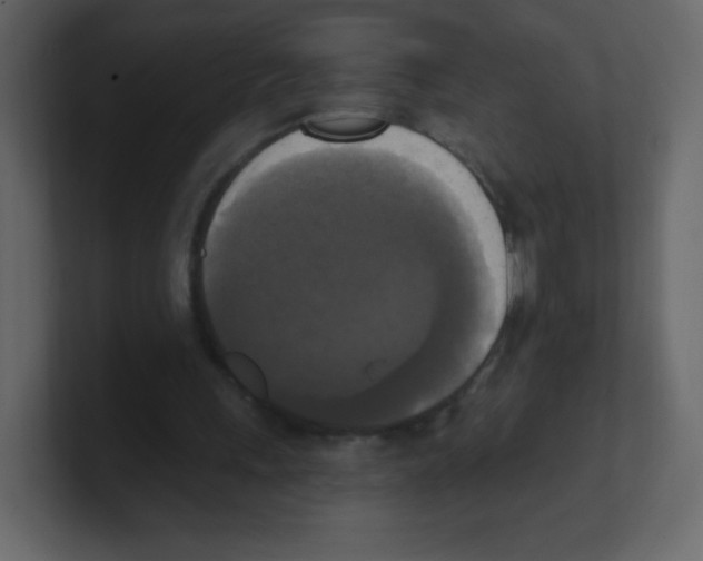 X0000100500243200807111149