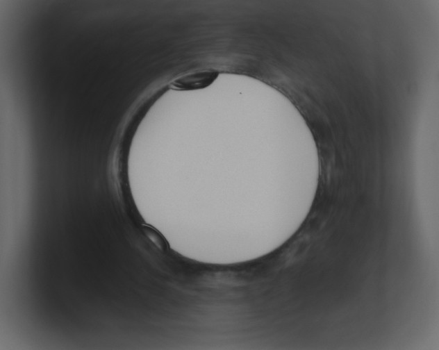 X0000100500244200807111149